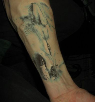 Wolf Head Pics Tattoo On Arm