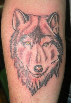 Wolf Head Picture Tattoo On Arm