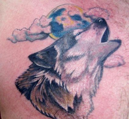 Wolf Head Pictures Tattoo