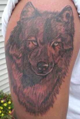Wolf Pic Of Tattoo On Arm