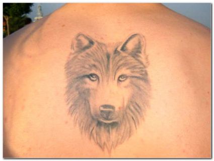 Wolf Face Tat On Back