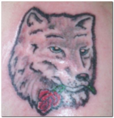 Wolf With Rose Tattoo
