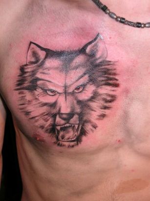 Animal tattoos, Wolf tattoos, Tattoos of Animal, Tattoos of Wolf, Animal tats, Wolf tats, Animal free tattoo designs, Wolf free tattoo designs, Animal tattoos picture, Wolf tattoos picture, Animal pictures tattoos, Wolf pictures tattoos, Animal free tattoos, Wolf free tattoos, Animal tattoo, Wolf tattoo, Animal tattoos idea, Wolf tattoos idea, Animal tattoo ideas, Wolf tattoo ideas, wolf head image tattoo on chest