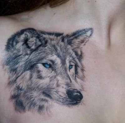 Animal tattoos, Wolf tattoos, Tattoos of Animal, Tattoos of Wolf, Animal tats, Wolf tats, Animal free tattoo designs, Wolf free tattoo designs, Animal tattoos picture, Wolf tattoos picture, Animal pictures tattoos, Wolf pictures tattoos, Animal free tattoos, Wolf free tattoos, Animal tattoo, Wolf tattoo, Animal tattoos idea, Wolf tattoos idea, Animal tattoo ideas, Wolf tattoo ideas, wolf pic of tattoo