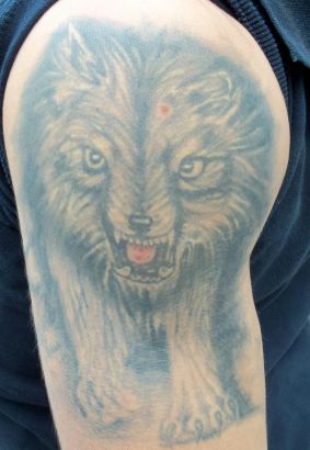 Animal tattoos, Wolf tattoos, Tattoos of Animal, Tattoos of Wolf, Animal tats, Wolf tats, Animal free tattoo designs, Wolf free tattoo designs, Animal tattoos picture, Wolf tattoos picture, Animal pictures tattoos, Wolf pictures tattoos, Animal free tattoos, Wolf free tattoos, Animal tattoo, Wolf tattoo, Animal tattoos idea, Wolf tattoos idea, Animal tattoo ideas, Wolf tattoo ideas, wolf pic tattoos on arm