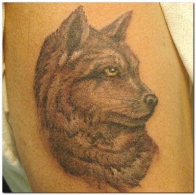 Animal tattoos, Wolf tattoos, Tattoos of Animal, Tattoos of Wolf, Animal tats, Wolf tats, Animal free tattoo designs, Wolf free tattoo designs, Animal tattoos picture, Wolf tattoos picture, Animal pictures tattoos, Wolf pictures tattoos, Animal free tattoos, Wolf free tattoos, Animal tattoo, Wolf tattoo, Animal tattoos idea, Wolf tattoos idea, Animal tattoo ideas, Wolf tattoo ideas, wolf face tat on arm