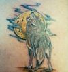 wolf and sun tattoo