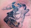 wolf head pictures tattoo