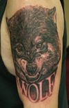 wolf image tattoo on arm