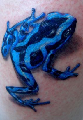 Blue Frog Tattoo