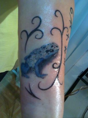 Dendrobates Tinctorius Tattoo On Arm