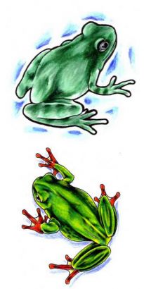 Two Frog Tattoos