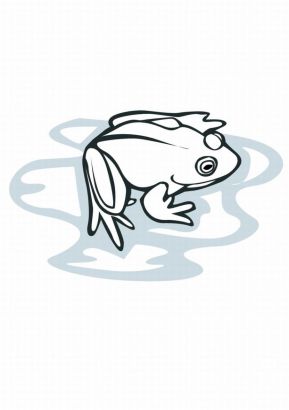 Free Frog Picture Tattoo