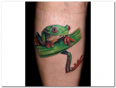 Animal tattoos, frog tattoos, Tattoos of Animal, Tattoos of frog, Animal tats, frog tats, Animal free tattoo designs, frog free tattoo designs, Animal tattoos picture, frog tattoos picture, Animal pictures tattoos, frog pictures tattoos, Animal free tattoos, frog free tattoos, Animal tattoo, frog tattoo, Animal tattoos idea, frog tattoos idea, Animal tattoo ideas, frog tattoo ideas, frog image tattoo on calf