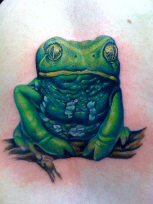 Animal tattoos, frog tattoos, Tattoos of Animal, Tattoos of frog, Animal tats, frog tats, Animal free tattoo designs, frog free tattoo designs, Animal tattoos picture, frog tattoos picture, Animal pictures tattoos, frog pictures tattoos, Animal free tattoos, frog free tattoos, Animal tattoo, frog tattoo, Animal tattoos idea, frog tattoos idea, Animal tattoo ideas, frog tattoo ideas, frog pics of tattoos