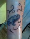 Dendrobates Tinctorius Tattoo on Arm