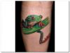 frog image tattoo on calf