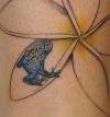 small blue frog tattoo