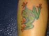 frog picture of tattoo