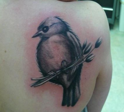 Bird Tattoo On Right Shoulder 