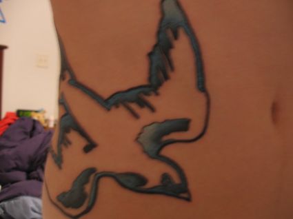 Bird Pics Tattoo