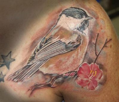 Birds tattoos, Bird tattoos, Tattoos of Birds, Tattoos of Bird, Birds tats, Bird tats, Birds free tattoo designs, Bird free tattoo designs, Birds tattoos picture, Bird tattoos picture, Birds pictures tattoos, Bird pictures tattoos, Birds free tattoos, Bird free tattoos, Birds tattoo, Bird tattoo, Birds tattoos idea, Bird tattoos idea, Birds tattoo ideas, Bird tattoo ideas, bird tattoo on right shoulder