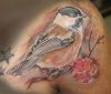 bird tattoo on right shoulder