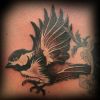 flying bird pic tattoo