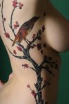 bird tattoo on rib