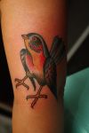 Bird tattoos design pic