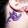 bird tats with purple color