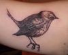 black bird tattoos