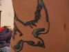 bird pics tattoo