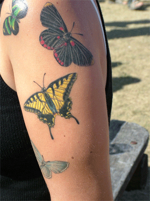 Multi Butterfly Tattoo