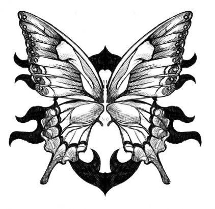 Butterfly Wings Pic Tattoo