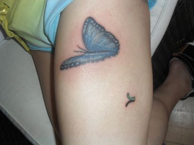 Birds tattoos, Butterfly tattoos, Tattoos of Birds, Tattoos of Butterfly, Birds tats, Butterfly tats, Birds free tattoo designs, Butterfly free tattoo designs, Birds tattoos picture, Butterfly tattoos picture, Birds pictures tattoos, Butterfly pictures tattoos, Birds free tattoos, Butterfly free tattoos, Birds tattoo, Butterfly tattoo, Birds tattoos idea, Butterfly tattoos idea, Birds tattoo ideas, Butterfly tattoo ideas, worm and butterfly cover up tattoo