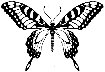 butterfly pictures tattoos design. Birds tattoos, Butterfly tattoos, Tattoos of Birds, Tattoos of Butterfly, Birds tats, Butterfly tats, Birds free tattoo designs, Butterfly free tattoo designs, Birds tattoos picture, Butterfly tattoos picture, Birds pictures tattoos, Butterfly pictures tattoos, Birds free tattoos, Butterfly free tattoos, Birds tattoo, Butterfly tattoo, Birds tattoos idea, Butterfly tattoos idea, Birds tattoo ideas, Butterfly tattoo ideas, butterfly pictures tattoos