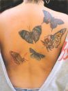 butterflies image tattoos on back