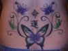 butterflies pic tattoos