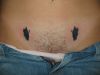 butterfly pic tattoo on lower stomach