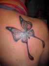 butterfly pics tattoo on right shoulder blade