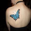 butterfly picture tattoo for women