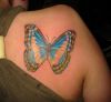 butterfly picture tattoo on right shoulder