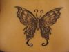 butterfly images tattoos