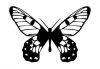 free butterfly pic tattoo