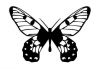 free butterfly pic tattoo