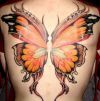 large butterfly pic tattoo on back