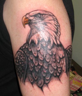 Eagle Tattoos Image