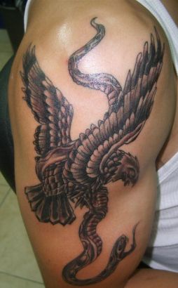 Eagle Fight With Snake Tattoo