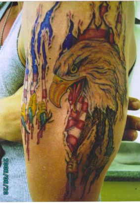 Eagle Head Pic Left Arm Tattoo